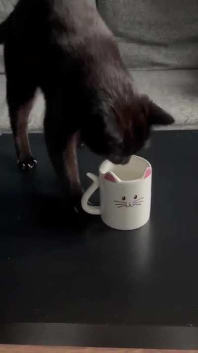 The ritual of the water dance