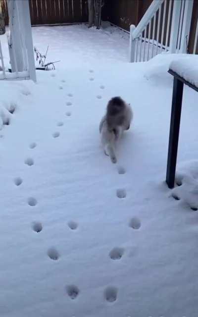 Hiding their numbers