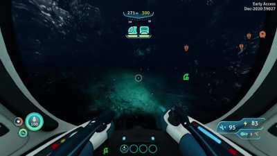 The only reaction to the pure terror I experienced