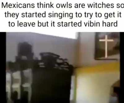 to scare an owl