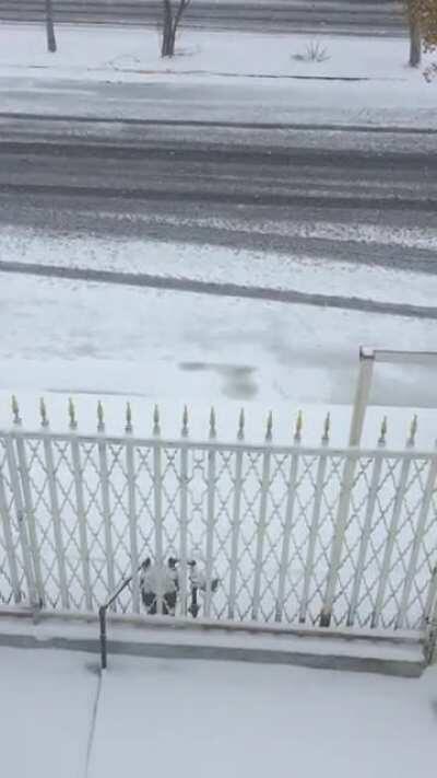 La mañana del Domingo 14 de Febrero de 2021 en Cd. Juárez.