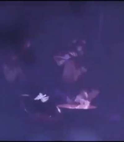 Me calling for my 2am friend under the bed who all of sudden started ghosting me