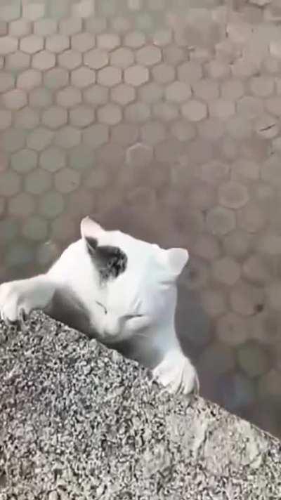 Cameraman finally intervenes and changes the course of a story.