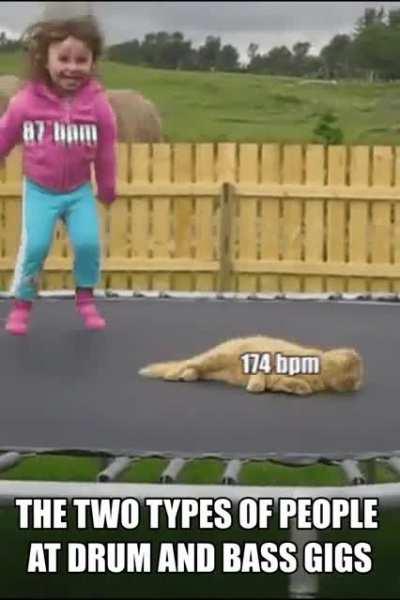 The two types of people at drum and bass gigs. [OC]