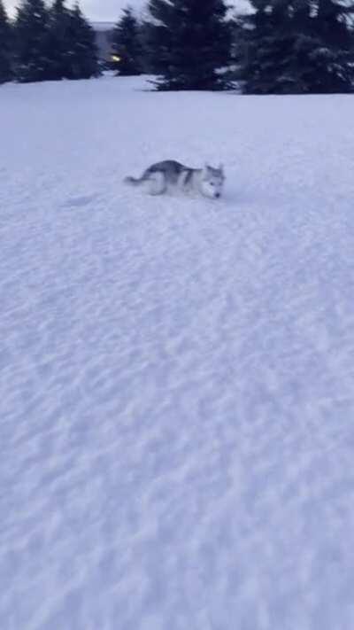 Thor doing a bounce. Happy New Years!