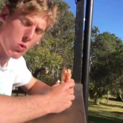 Sandwich acquisition denied.