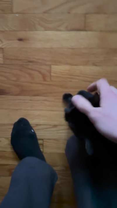 Birdie yell-squeaking dunno if this counts