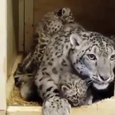 The joy of motherhood