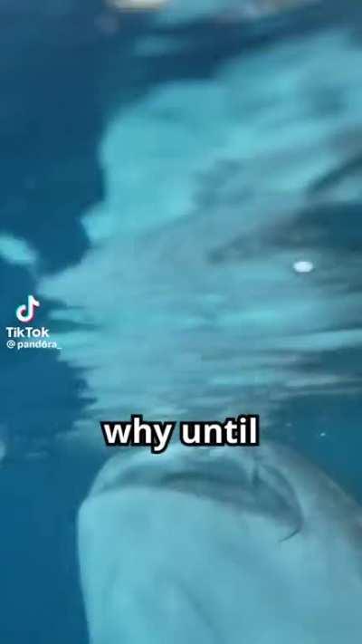 I’d be outta there so fast