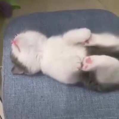 Наелся и спит