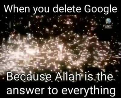 dankvideos - Video #2325