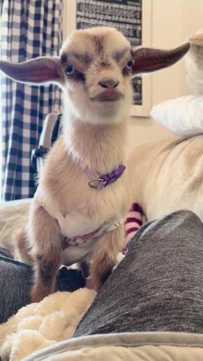 Doin’ a smackerel while tinkling🙈