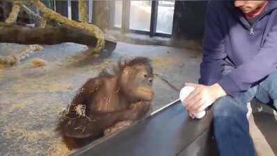 Footage from the future