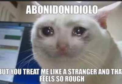 Bachidinihavetocotmiyof