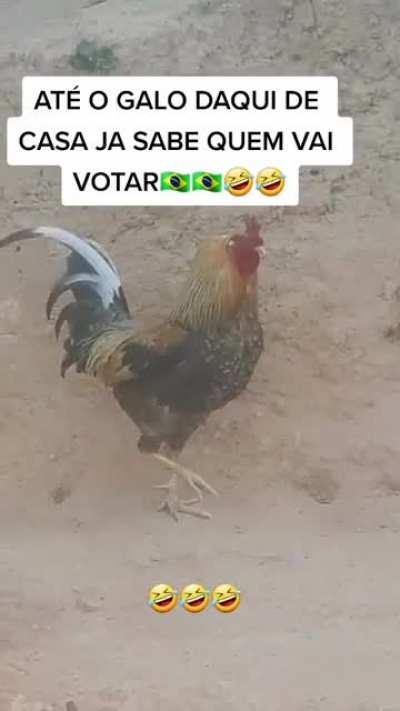 Voto em Branco/Nulo não é uma opção!
