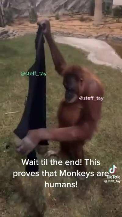 Ele tem o drip chat 🥶🥶🥶