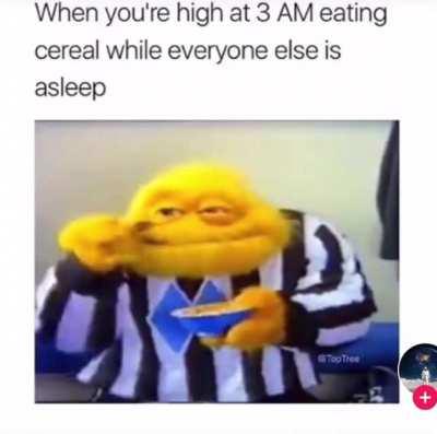 What’s your favourite cereal?