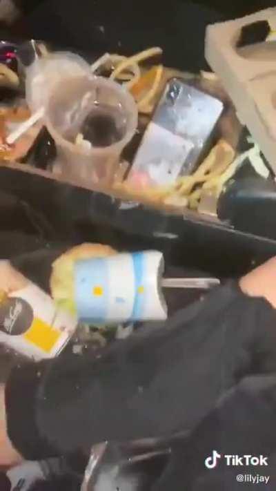 How and why did she think this would work