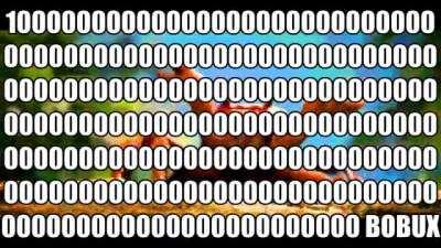1 Googol bobux