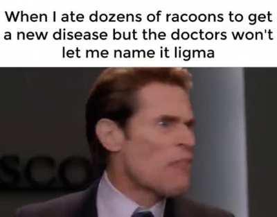 i ate racoon shit for this