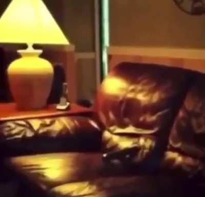 Oh I think I left my biscuits outside