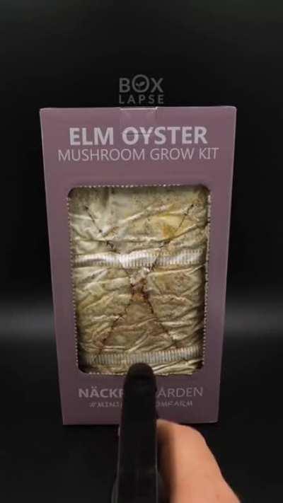 Thought folks here would find this interesting