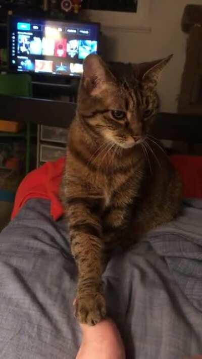 She wants the snacks