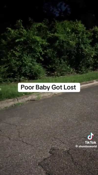 You NEVER leave an Autistic child unattended, let alone in a place that they are not familiar with for any amount of time.