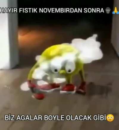 İstır eg var 🦍😱😱