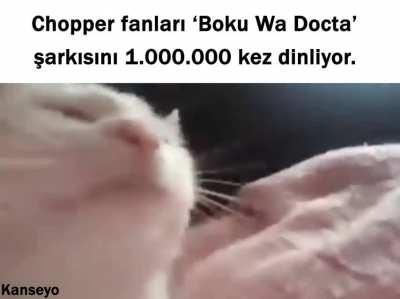 One Piece Topluluk Özeti