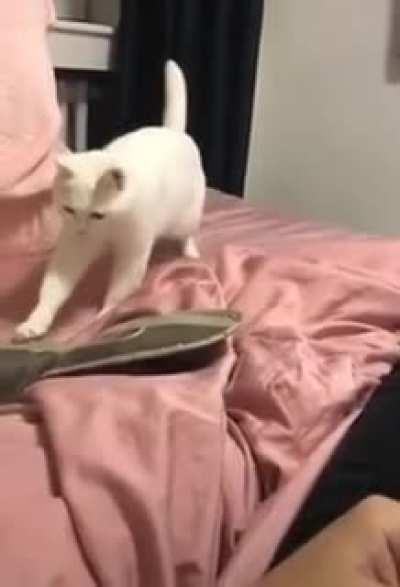 Well it is the beatmagic.