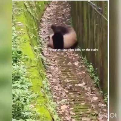 Rollin down in the deep