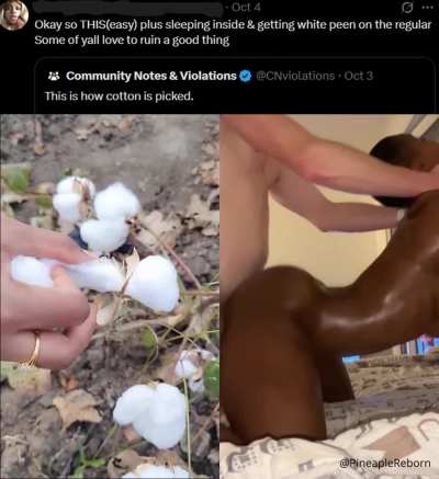 lmao black women are starting to romanticize slavery