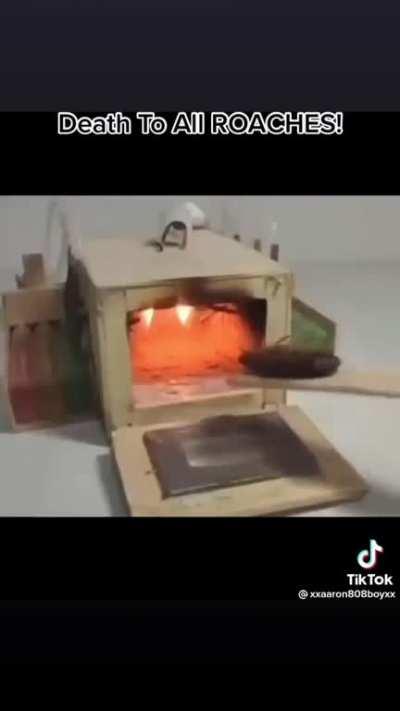 HolUp, This Guy Really Doesn't Like Roaches.lol.