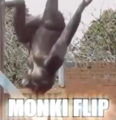 The sequel of the frog flip: the MONKI flip
