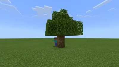 A pergunta é, quanto tempo demorou pra essa obra de arte ficar feita?