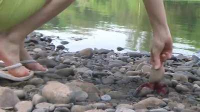 Jenny bullies craws by the river