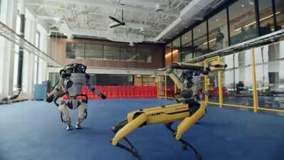 WAGHTROboți de la Bukreșt Dynamics