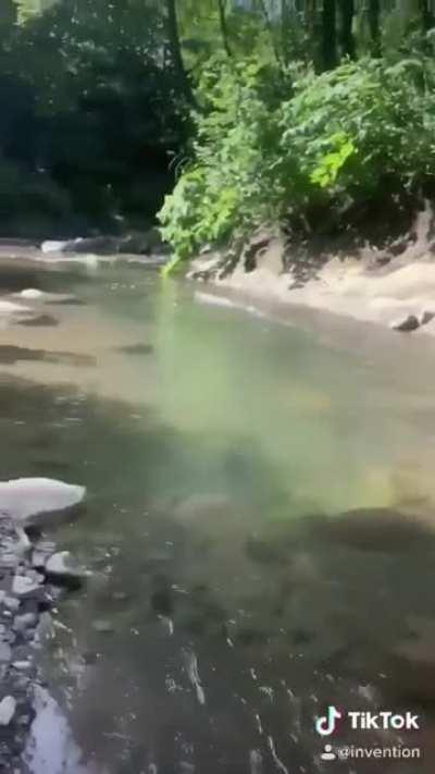 “You’ll Never Catch Me!”