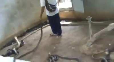 Picking &amp;amp; tossing them like ropes