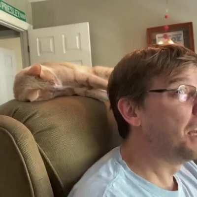 He’s the reason why working from home isn’t the joy I hoped it would be.