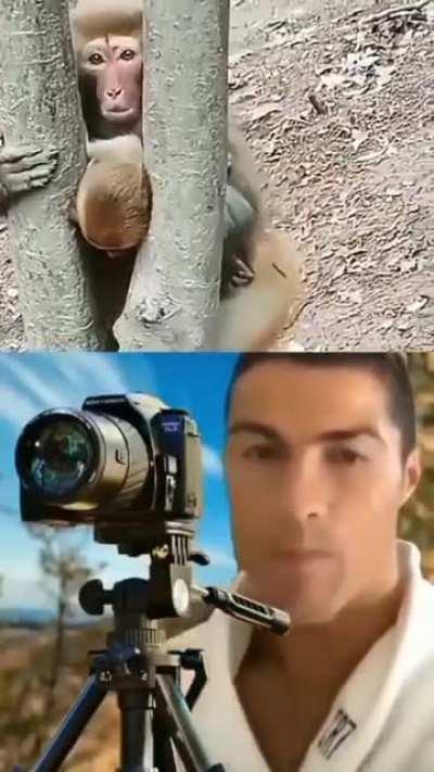 Can't interfere with nature