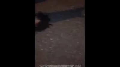 Girl Almost Puts Her Opp To Sleep By Chocking Her Out During 1Vs1 Fight 