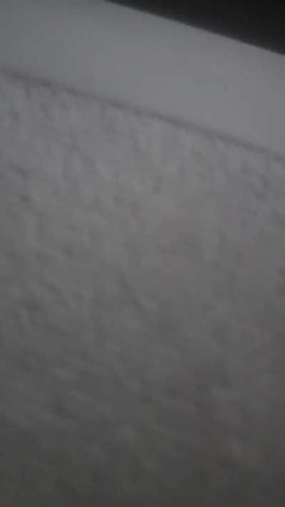 You fart suckers love the crispy noises I make.