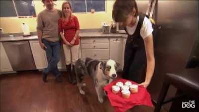 r/WatchPeopleDieInside profile pic original video.