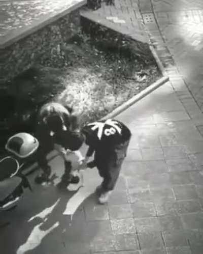 Собака-непонимака