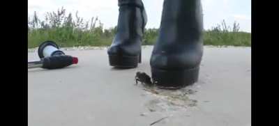 ROACH CRUSH - Bug Crushed