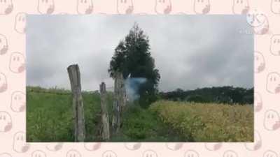 Desculpa é fnaf :( ,mais o vídeo é bom kk