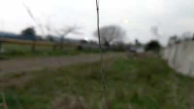 crash test argentina™