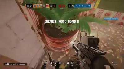 The plants fight back